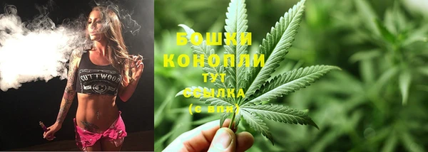 прущие крисы Зеленокумск