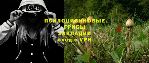 прущие крисы Зеленокумск