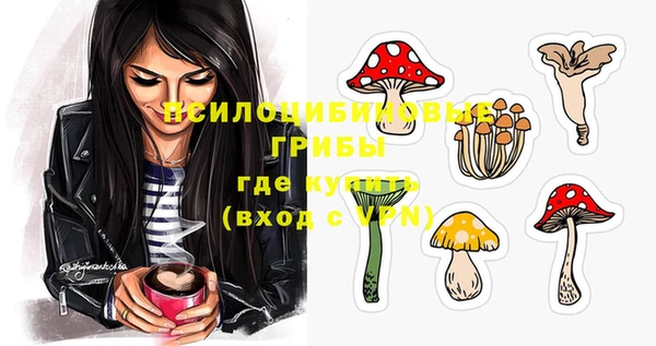 герыч Зеленодольск