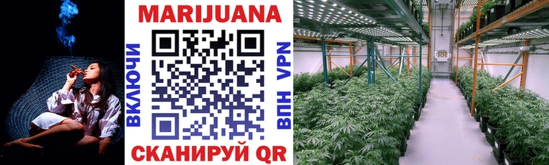 Конопля семена  где найти наркотики  Чистополь 